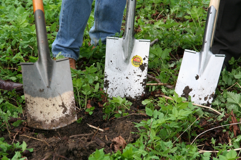 pepiniere-BELGENTIER-min_work-lawn-flower-tool-green-backyard-1103633-pxhere.com